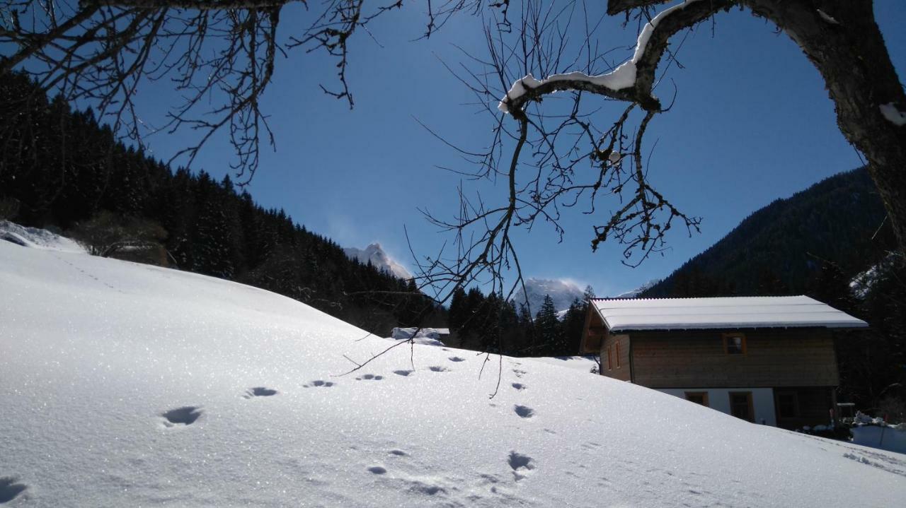 Neuberg Alm Villa Sankt Gallenkirch Exterior photo